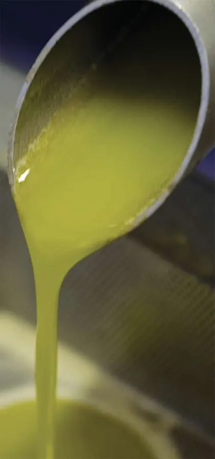 Olio extravergine di oliva 100%